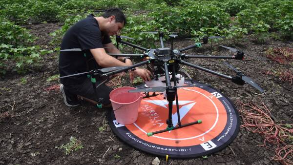 Breakthrough: Autonomous drones use artificial intelligence to target weeds