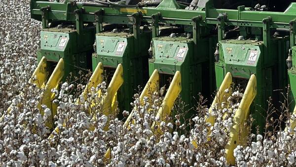 Cotton picking finally underway with Central Queensland leading the charge