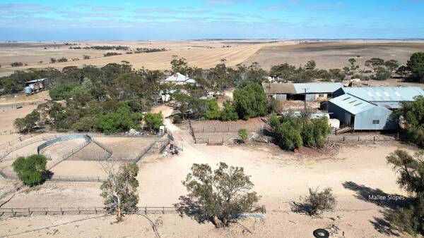 Broadacre cropping and grazing land up for grabs in SA's mid-Mallee