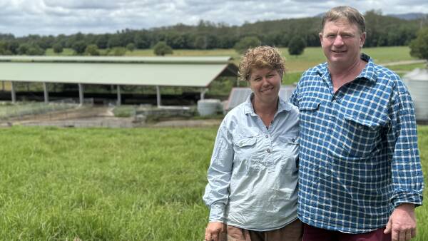 NSW dairy farmers make changes on farm to adapt to unpredictable climate