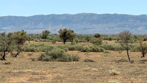 Big grazing block in the north is ready to go at $230 per acre