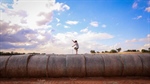 Did you get a bale? More than 160,000 bales of hay via Rural Aid in 10 years