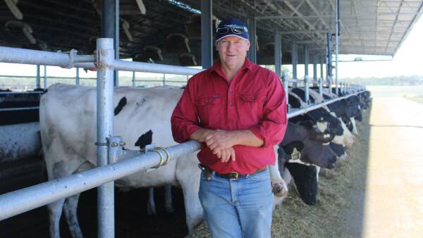 Farm accident sees a return to genetics passion for Wagga dairy farmer