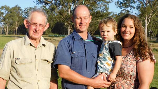 Modern Illawarras help Qld dairy farmers thrive in subtropical environment