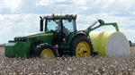 Cotton sector confident of good crop in spite of late season weather woes