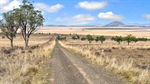 Burleith delivers with productivity, impressive Liverpool Plains views
