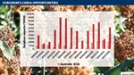 Why aren't we talking more about sorghum's baijiu opportunities in China?