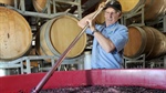 Tariff twist: China now Aussie wine's best friend while US sales sink