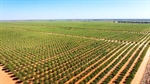 Receivers move to sell major horticulture aggregation across four states