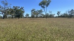 Well-watered central west grazing property with established tourism bonus