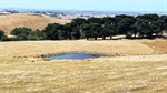 Victoria's West Gippsland retains title as nation's most expensive farmland