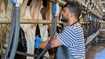 Research aims to improve concentration of milk solids