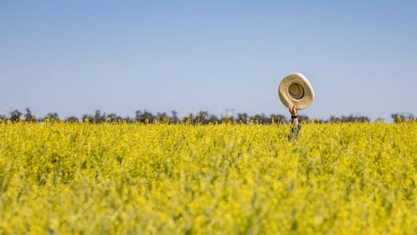 Nufarm may sell canola seed business after profits slip on fish oil price slump