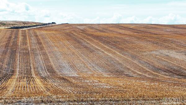 SA farmland sales soften during wait for rain but strategic buys continue