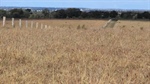 Handy-to-Roma country offered as four quality Maranoa lifestyle blocks