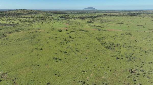 Favoured Banana cattle country for breeding, backgrounding and finishing