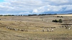 Western District farm listings offer entry-level farm opportunities