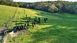 Golden opportunity to buy top South Gippsland farm with hidden treasure