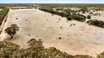 Affordable farm block north of Bendigo worth crunching the numbers