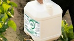 Agribusiness buzz briefs: Bonjour biofert; vegetarians rule; world sugar event