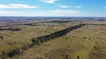 Come-By-Chance with 1272 acres of productive buffel grass country | Photos