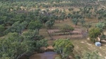 Ronlow Park: Well-grassed, tick-free breeder block for 1500 cows | Photos