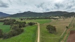 The Glen: well-developed cattle country with quality improvements | Photos