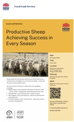 Productive Sheep Achieving Success in Every Season