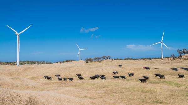 Energy transition can't keep happening 'to' community. Real support is needed