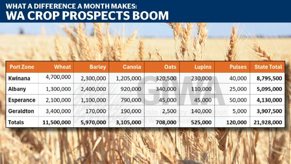 13pc yield gain in a month as WA data highlights massive crop improvement