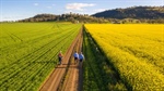 Golden fields and green fuel will be next chapter in national productivity