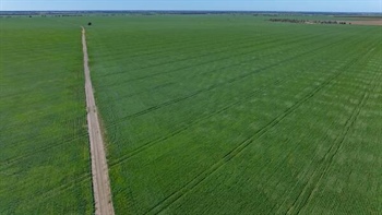 Outstanding dryland cultivation, irrigation, prime grazing country | Video