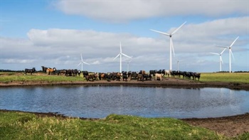 Why renewables' edge over coal, gas all boils down to simple economics