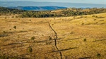 Well-developed cattle country on Fitzroy River sold before auction| Video
