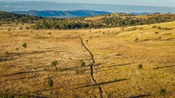 Well-developed cattle country on Fitzroy River sold before auction| Video