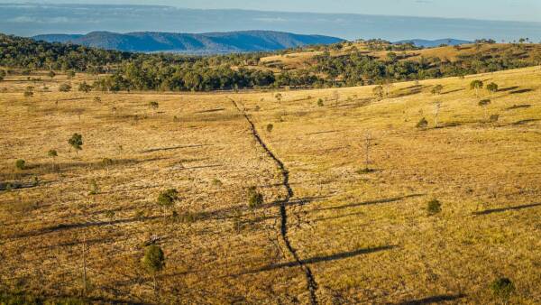 Well-developed cattle country on Fitzroy River sold before auction| Video