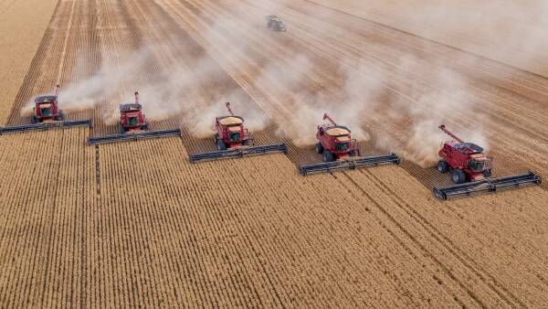 Australian farmers win the title for the toughest wheat producers on earth