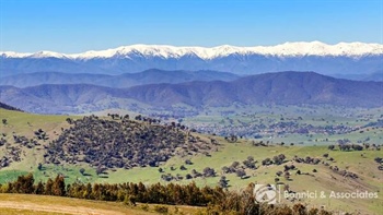 High Country farm block with stunning mountain views up for grabs at $1.65m