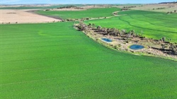 Golden Triangle grain machine Mabel Downs presented with 6321 arable acres