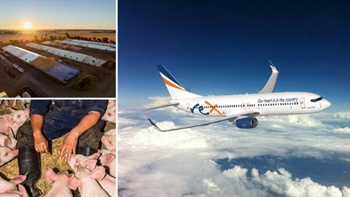 Agribusiness whip: Rex update, cash for pork processor, Elders' Fat Farmers