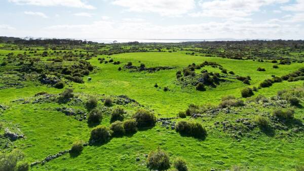 From hilly Upper Murray to the west's volcanic plains, beef property sales