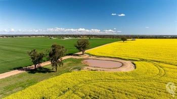 Abundance offered with flood-free, low frost risk cropping country | Video