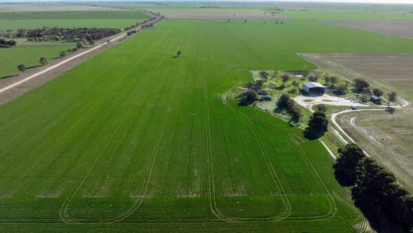 Prized Wimmera cropping portfolio tipped to sell for around $16 million