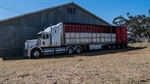 'Sheer economics': why growers are being told to use AWSS certification