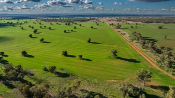 High-yielding grains, pulses, prime lambs and quality Merino wool | Video