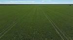 Western country with significant potential listed for $520/acre | Photos