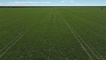 Western country with significant potential listed for $520/acre | Photos