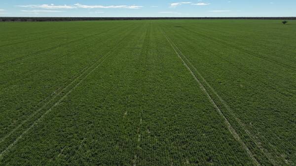 Western country with significant potential listed for $520/acre | Photos