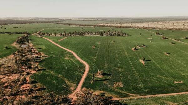 Productive red kurrajong country designed for efficient farm production