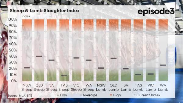 Sheep processor squeeze: which states are winning the supply battle, and why